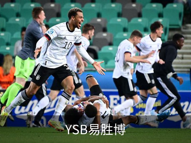 了解YSB易胜博